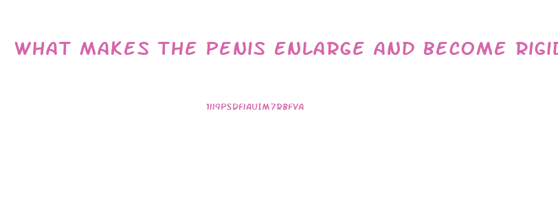 What Makes The Penis Enlarge And Become Rigid