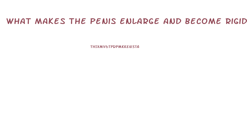 What Makes The Penis Enlarge And Become Rigid