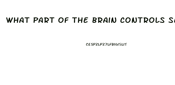 What Part Of The Brain Controls Sex Drive