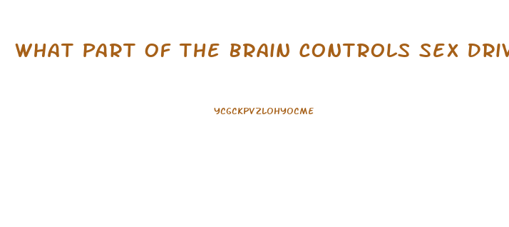 What Part Of The Brain Controls Sex Drive