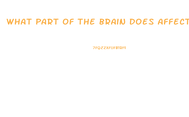 What Part Of The Brain Does Affect Sex Drive