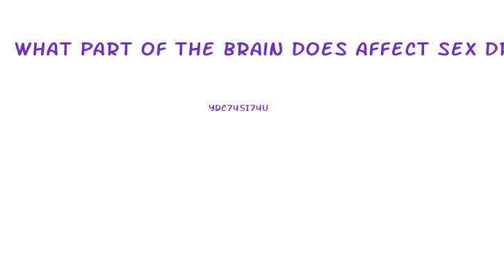 What Part Of The Brain Does Affect Sex Drive