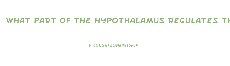 What Part Of The Hypothalamus Regulates The Sex Drive