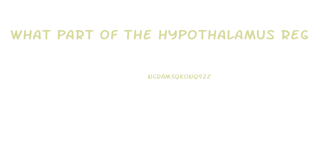 What Part Of The Hypothalamus Regulates The Sex Drive