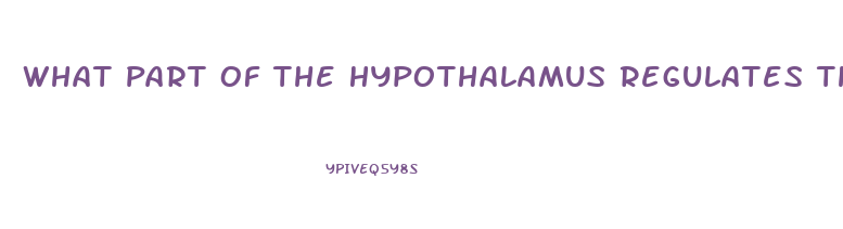 What Part Of The Hypothalamus Regulates The Sex Drive