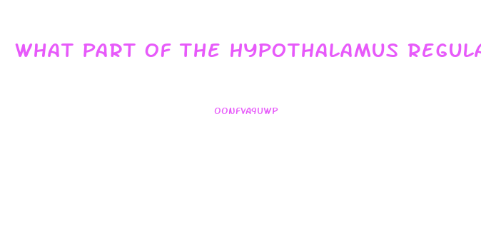 What Part Of The Hypothalamus Regulates The Sex Drive