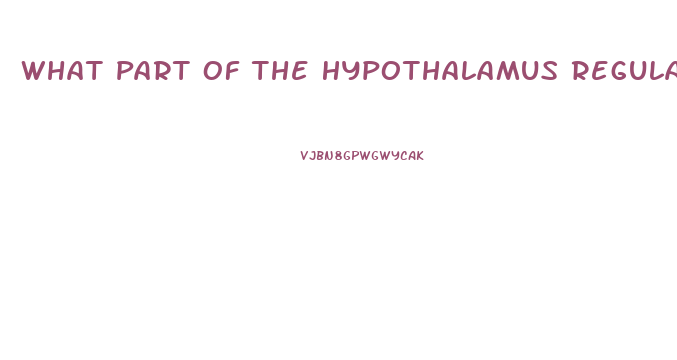 What Part Of The Hypothalamus Regulates The Sex Drive