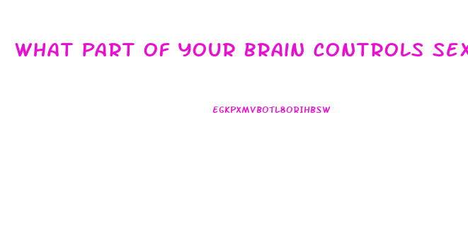 What Part Of Your Brain Controls Sex Drive