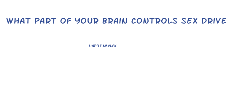 What Part Of Your Brain Controls Sex Drive