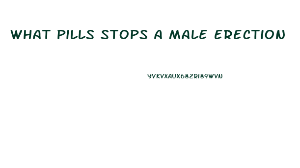 What Pills Stops A Male Erection