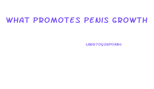 What Promotes Penis Growth