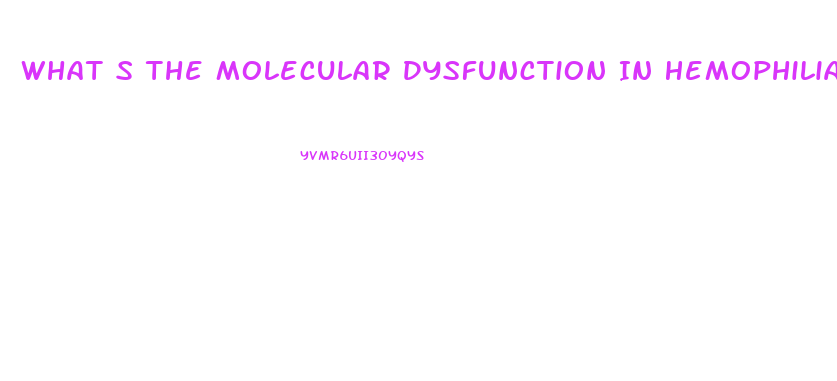 What S The Molecular Dysfunction In Hemophilia