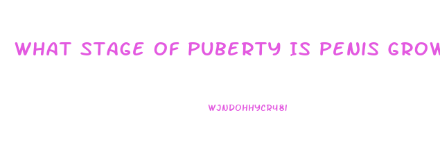 What Stage Of Puberty Is Penis Growth