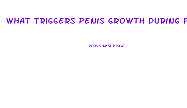What Triggers Penis Growth During Puberty