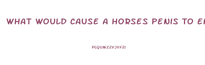What Would Cause A Horses Penis To Enlarge