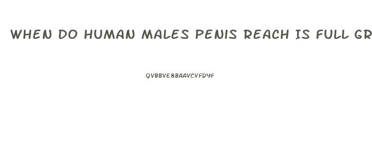 When Do Human Males Penis Reach Is Full Growth