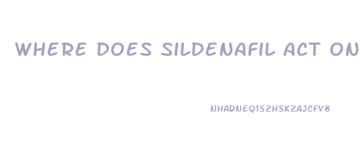 Where Does Sildenafil Act On The Penis
