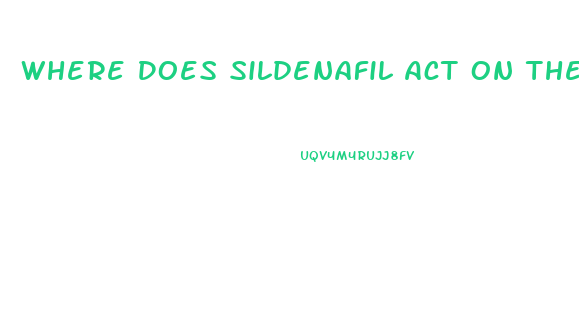 Where Does Sildenafil Act On The Penis