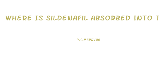 Where Is Sildenafil Absorbed Into The Body