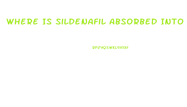 Where Is Sildenafil Absorbed Into The Body