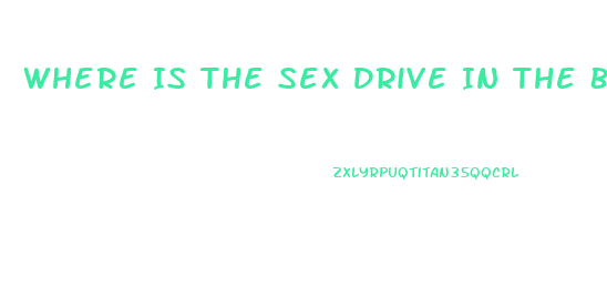 Where Is The Sex Drive In The Body