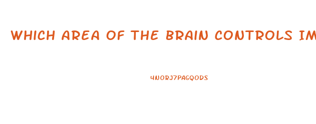 Which Area Of The Brain Controls Impotence