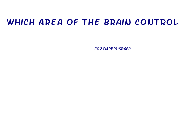 Which Area Of The Brain Controls Impotence