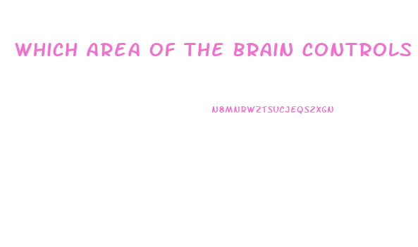 Which Area Of The Brain Controls Impotence