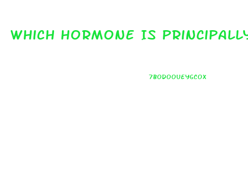 Which Hormone Is Principally Responsible For Sex Drive In Women