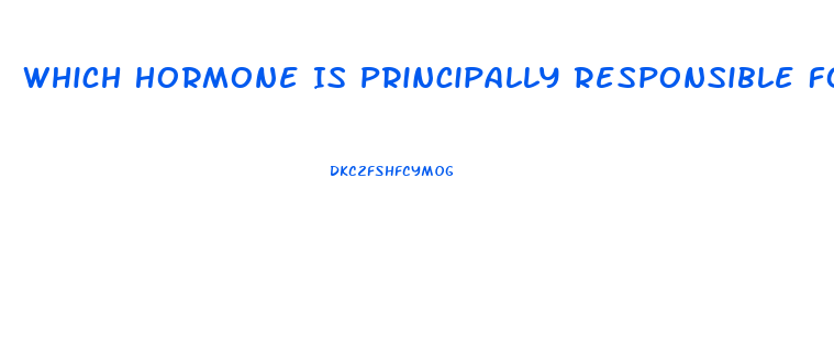 Which Hormone Is Principally Responsible For Sex Drive In Women