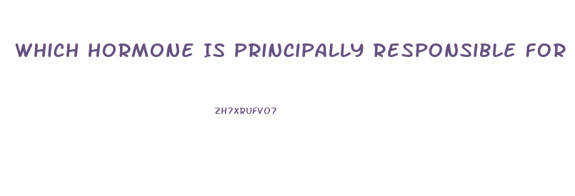 Which Hormone Is Principally Responsible For Sex Drive In Women