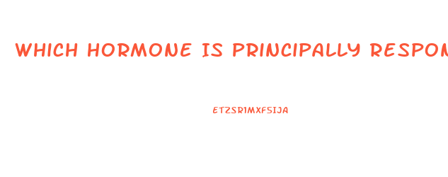 Which Hormone Is Principally Responsible For Sex Drive In Women