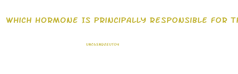 Which Hormone Is Principally Responsible For The Sex Drive In Women
