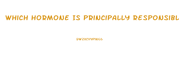 Which Hormone Is Principally Responsible For The Sex Drive In Women