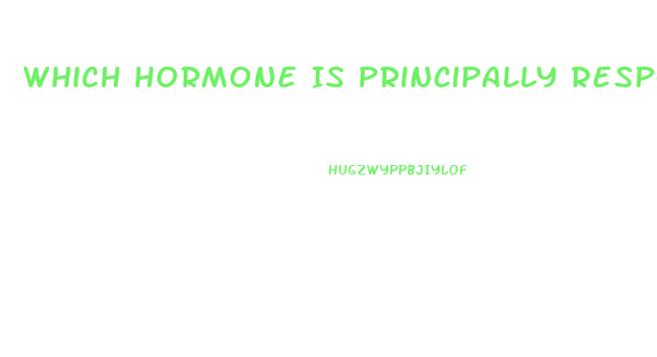 Which Hormone Is Principally Responsible For The Sex Drive In Women