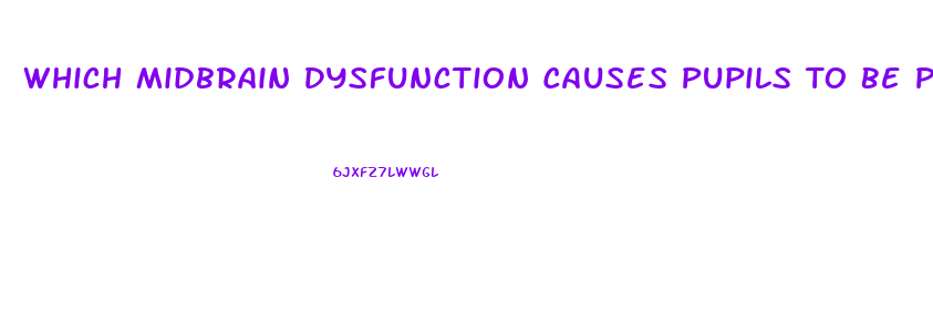 Which Midbrain Dysfunction Causes Pupils To Be Pinpoint Size And Fixed In Position