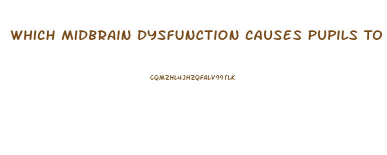 Which Midbrain Dysfunction Causes Pupils To Be Pinpoint Size And Fixed In Position