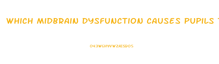 Which Midbrain Dysfunction Causes Pupils To Be Pinpoint Size And Fixed In Position