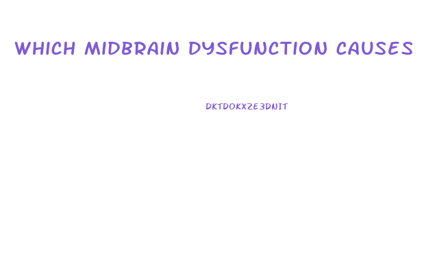 Which Midbrain Dysfunction Causes Pupils To Be Pinpoint Size And Fixed In Position