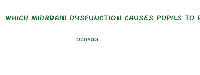 Which Midbrain Dysfunction Causes Pupils To Be Pinpoint Size And Fixed In Position