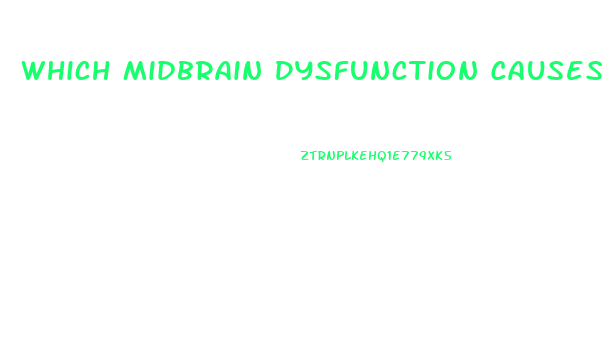 Which Midbrain Dysfunction Causes Pupils To Be Pinpoint Size And Fixed In Position