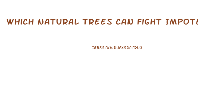 Which Natural Trees Can Fight Impotence