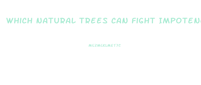 Which Natural Trees Can Fight Impotence