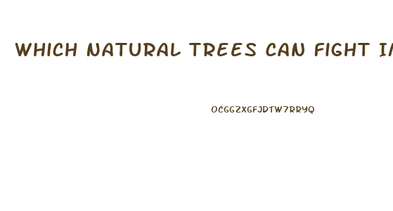 Which Natural Trees Can Fight Impotence