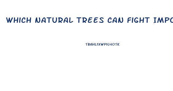 Which Natural Trees Can Fight Impotence