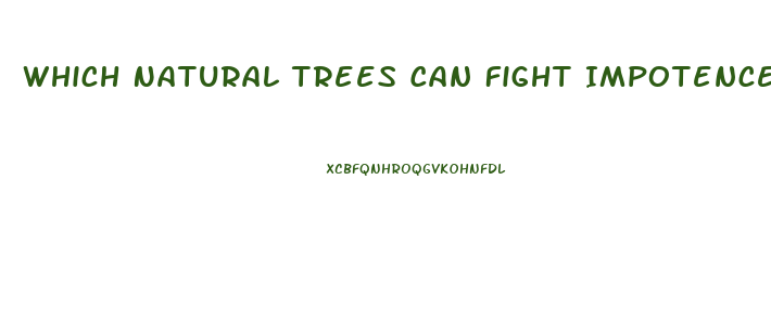 Which Natural Trees Can Fight Impotence