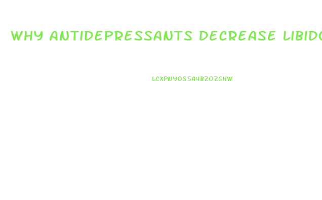 Why Antidepressants Decrease Libido