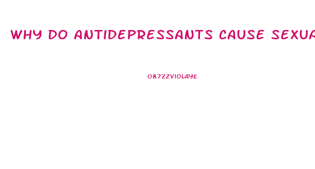 Why Do Antidepressants Cause Sexual Dysfunction