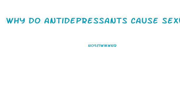 Why Do Antidepressants Cause Sexual Dysfunction