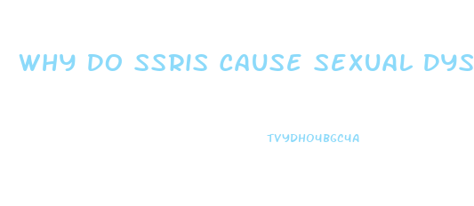 Why Do Ssris Cause Sexual Dysfunction